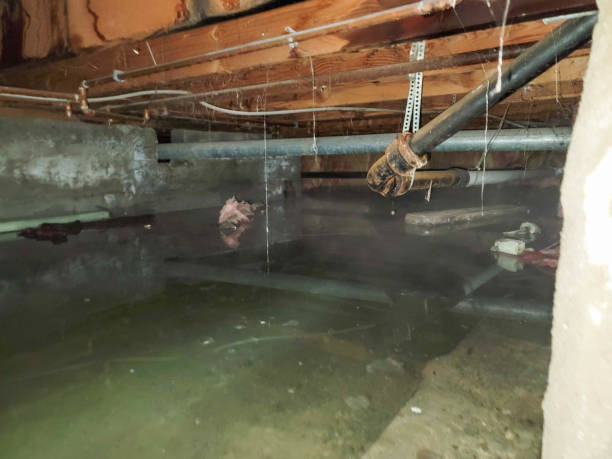  Moa, UT Water damage restoration Pros