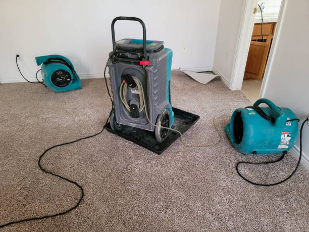 Best Commercial water damage restoration  in Moa, UT
