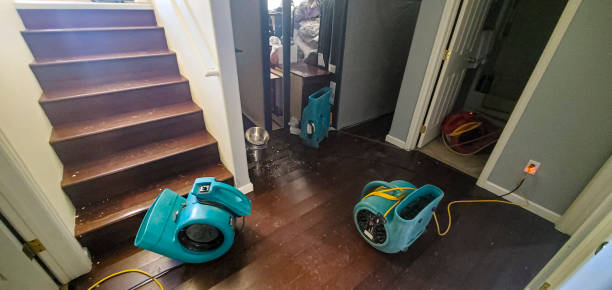 Best Water damage restoration mold remediation  in Moa, UT