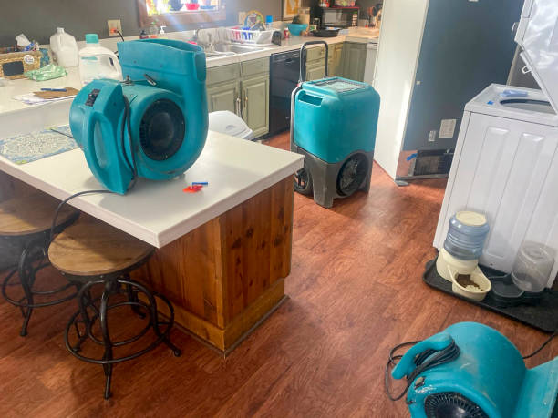 Best Emergency water damage restoration  in Moa, UT