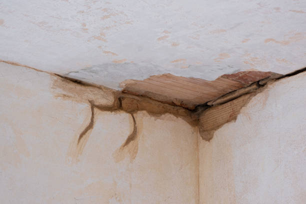 Best Commercial water damage restoration  in Moa, UT