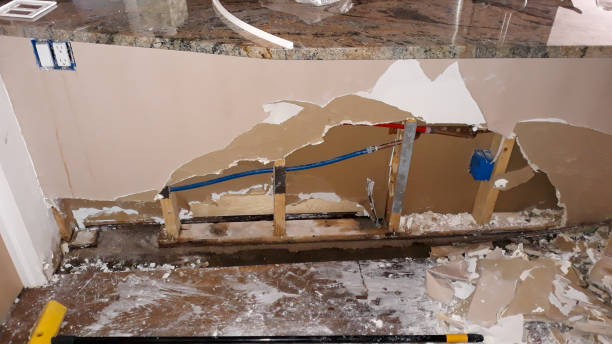 Best Flood damage cleanup  in Moa, UT