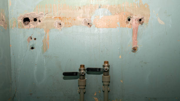 Best Water damage cleanup near me  in Moa, UT