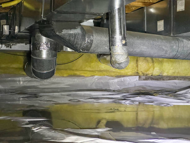 Best Ceiling water damage repair  in Moa, UT