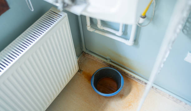 Best Local water damage restoration  in Moa, UT