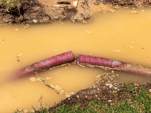 Best Basement water damage restoration  in Moa, UT