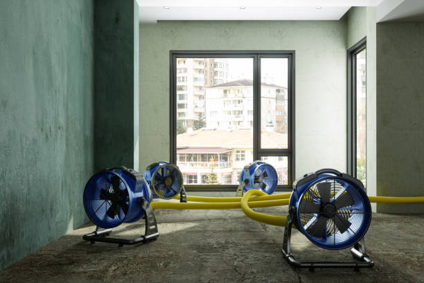 Best Water damage contractors near me  in Moa, UT